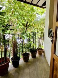 Victoria Park Close (D10), Detached #575662071